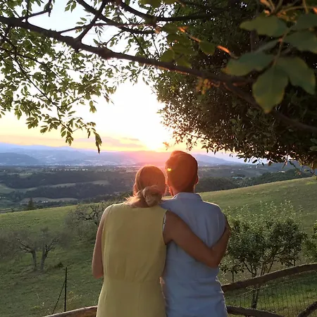 Tente de luxe Palare